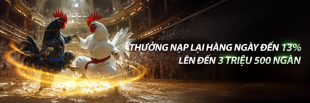 Chương trình VIP BetVND nhà cái với các cấp độ đẳng cấp và phần thưởng độc quyền